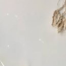 (특강)라탄공예 이미지