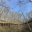 구내도전분교 화장실 | 횡성숲체원 1박2일 힐링여행 무장애숲길 맨발길 뒷말동 숙박 식당 이용 후기