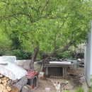 미천초등학교 이미지