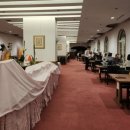 플랜유 | 시즈오카 렌트카 여행 2일차｜유가시마CC 골프장 레스토랑 숙박후기