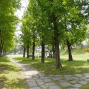 나무그늘 밑의 휴식 이미지