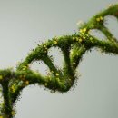 하다 피트니스 이미지