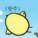 더 킹 PC방 | [한달일기] 25년 2월일기 #2