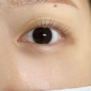 루루앤아이래쉬 | [뷰티] 루루앤아이래쉬 대구점 | 속눈썹 펌 후기