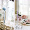 낭만접시 이미지