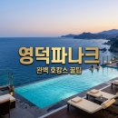 지상낙원 영덕파나크 바이 소노벨 찐 숙박 후기 든든한 조식 꿀팁