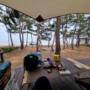 파인(143) 이미지