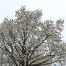 금련산청소년수련원 이미지