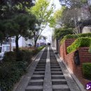 계산성당, 태극기, 이미지