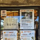 한림농장 | 제주 한림 귤한가 귤따기 체험 후기 (아이와 함께한 귤밭 체험)