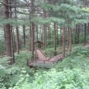 청태산 자연속으로 이미지