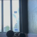 처럼풀빌라 하와이처럼 | 태안, 알로하오에 애견풀빌라 방문 후기