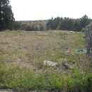 상효동-6 이미지