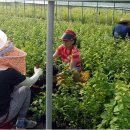 이경농장 이미지