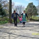 호동사슴목장 이미지