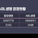 오렌지여행사주 이미지