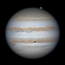 이오이오반점 이미지