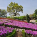 선사유적공원 이미지