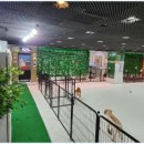 똥강아지 애견 이미지