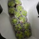 천지동 골드슈퍼 앞 | 2025 오네 슈퍼레이스 챔피언십 FINAL ROUND (ROUND.9) 관람 후기 🚘