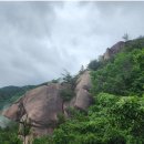 양지-3306 이미지