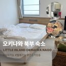 P-6505 | 오키나와 북부 숙소 추천: 리틀 아일랜드 오키나와 나고점 내돈내산 2박 후기 (세탁기•건조기+취사 가능)