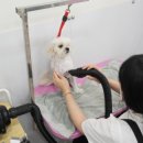 이뻐질개 이미지