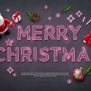 JTA 합기도 & MMA 이미지