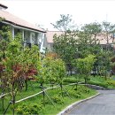 고성노벨컨트리클럽골프텔 이미지