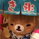 월드 E.S. 이미지