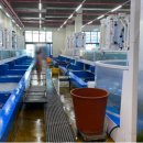 구암동153 이미지