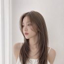 초지헤어라인