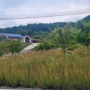 가척리경로당 네이버블로그