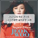 대양뒤 | 적우 콘서트 LED 전광판 설치 운영 후기 | 세종대학교 대양홀