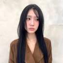 슬릭 이미지