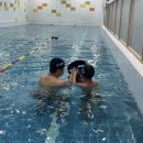 동아대 유도클럽 | 아침 수영, 다이어트와 건강을 동시에 잡는 최고의 습관/몸과 마음이 가벼워지는 시간, 아침 수영 시작...