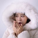 피티스토어