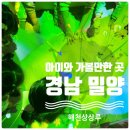 해천상상루 무인카페