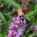 전주가는길 이미지