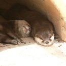 섬진강어류생태관 이미지