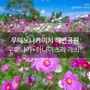 우미노 - 중구 동덕로 123-28 | 우미노