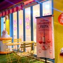 주디마리 홍대점(JUDYMARY)