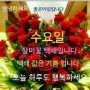 좋은날 생일을 맞은심 은경 입니다ㅡ 이미지