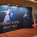 더 그레잇 발레 갈라콘서트 | 2026 더 나잇 인 서울 발레 갈라 후기 | 국립극장 해오름극장 1층 A구역 16열 시야