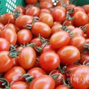 희순농장 네이버블로그