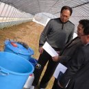 민경태농장 이미지