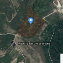 주약공인중개사사무소 네이버블로그