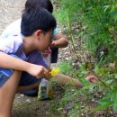 대양 (태권도) 이미지