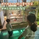상동1교 | [공지] 거제도 아이랑 가볼만한곳 이색체험 실내동물원 버드앤피쉬체험장