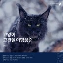 파크동물의료센터 | 인천 고양이 치료 동물병원, 파크동물의료센터::고양이 고관절 이형성증